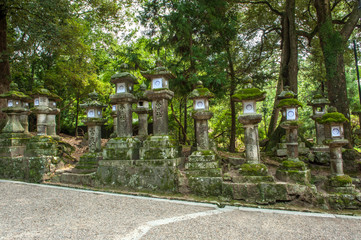 Lanterns in Nara