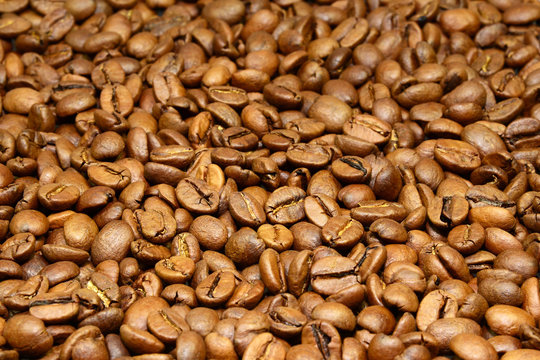 Brown coffee beans for background and texture