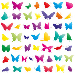 butterflies vector set © Naturestock
