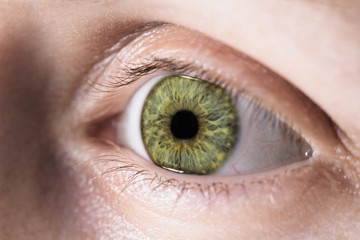 Female eye