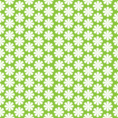white carnation flowers seamless pattern - 64358922