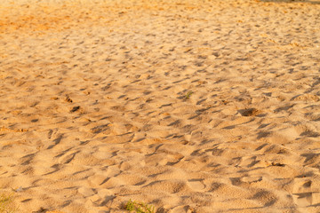 Coastal sand