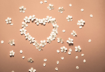 Heart as a symbol of love made of flowers on pink background.