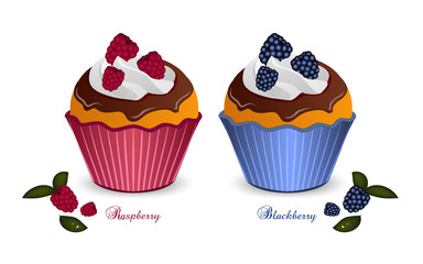 Set of two cupcakes with raspberries and blackberries