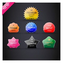 Collection of Premium Quality Labels with Glossy styled design.