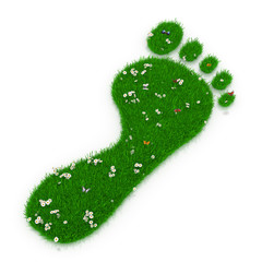 Ökologischer Fußabdruck - Einzelner Fuß