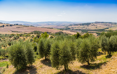 Fototapeta na wymiar Tuscany view, Italy