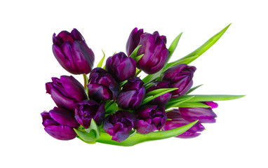 Obraz premium Bouquet of tulips
