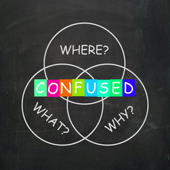 Confused Refers to Why What Where and Uncertainty