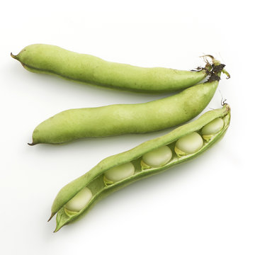 Broad Beans On A White Background