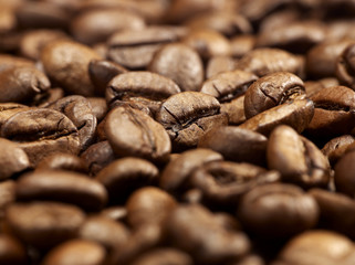 coffee beans background close up