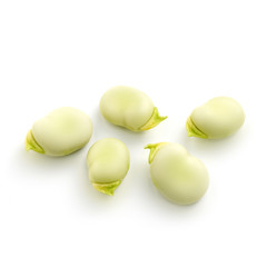 seeds of a broad bean isolated on  white