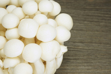 Close up white fresh shimeji mushroom