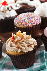 Assorted Fancy Gourmet Cupcakes with Frosting