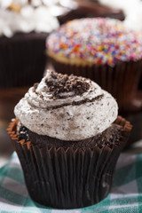 Assorted Fancy Gourmet Cupcakes with Frosting