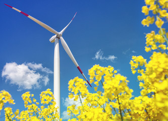 wind turbine