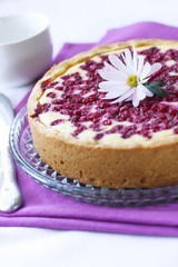 Pie with cottage cheese and redcurrant