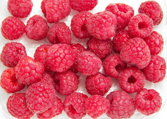 fresh, red raspberry