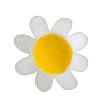 Daisy