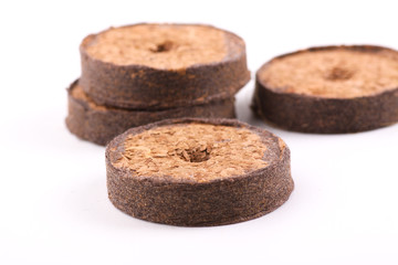 coconut tablets for growing
