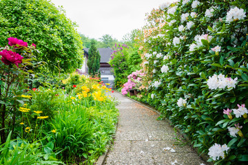 Naklejka premium Rhododendron am Gartenweg