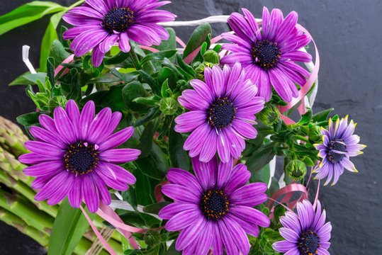 violet daisies