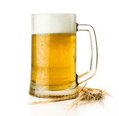 beer mug with ears