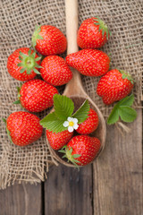 Frische Erdbeeren
