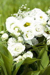 Bouquet of white roses