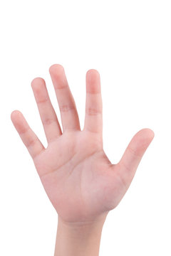 small hand simulating showing number five sign. Isolated on whit