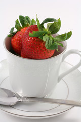 Fresh Red Strawberries inside a White Teacup with Plain White Ba