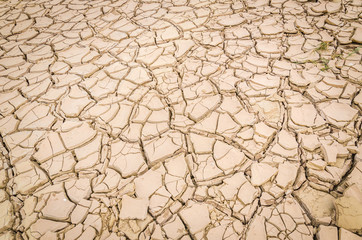 cracked soil