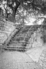 Savannah Staircase - Black and White