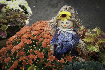 Tiny Scarecrow