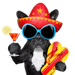 mexican dog