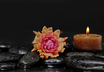 still life with pebbles and ranunculus flower,candle