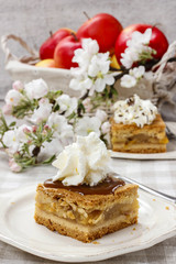 Piece of apple cake with whipped cream