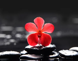 Foto auf Acrylglas Spa-Szene-Makro aus roter Orchidee mit schwarzen Steinen © Mee Ting