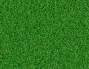 lush green grass backgrounds