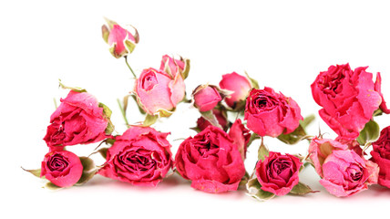 Beautiful pink dried roses, isolated on white