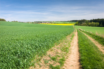 Road, fields, forest, village and blue sky - spring countryside