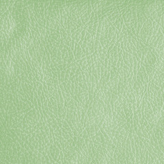 pale green leatherette