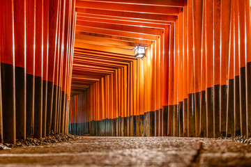 Fushimi Inari Taisha Shrine, Kyoto, Japan © SeanPavonePhoto