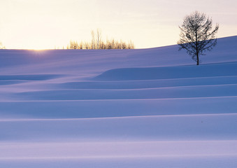 홋카이도 여행포토