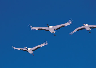 홋카이도 여행포토