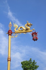 Fototapeta na wymiar dragon statue and the chiness red lantern