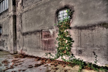 intérieur d'entrepôt désaffecté - hdr