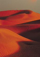 튀니지 여행포토