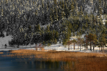 Abant lake