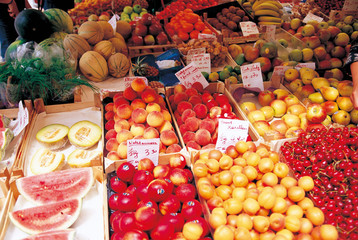 오스트리아 여행포토